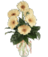 Click Here