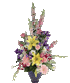 Click Here