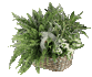 Click Here