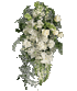 Click Here