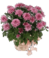 Click Here