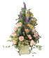 Click Here
