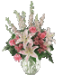 Click Here
